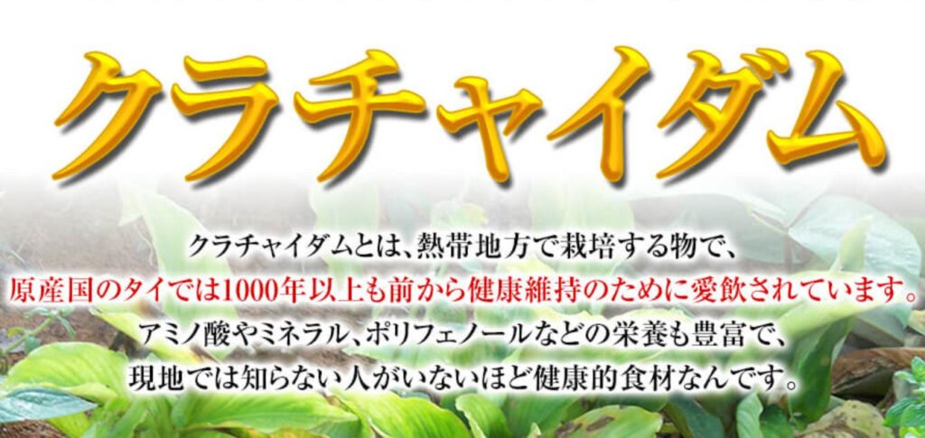 翔田千里　精力剤